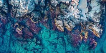 U Jadranu 60 vrsta morskih pasa i raža, 70 posto ih je ugroženo