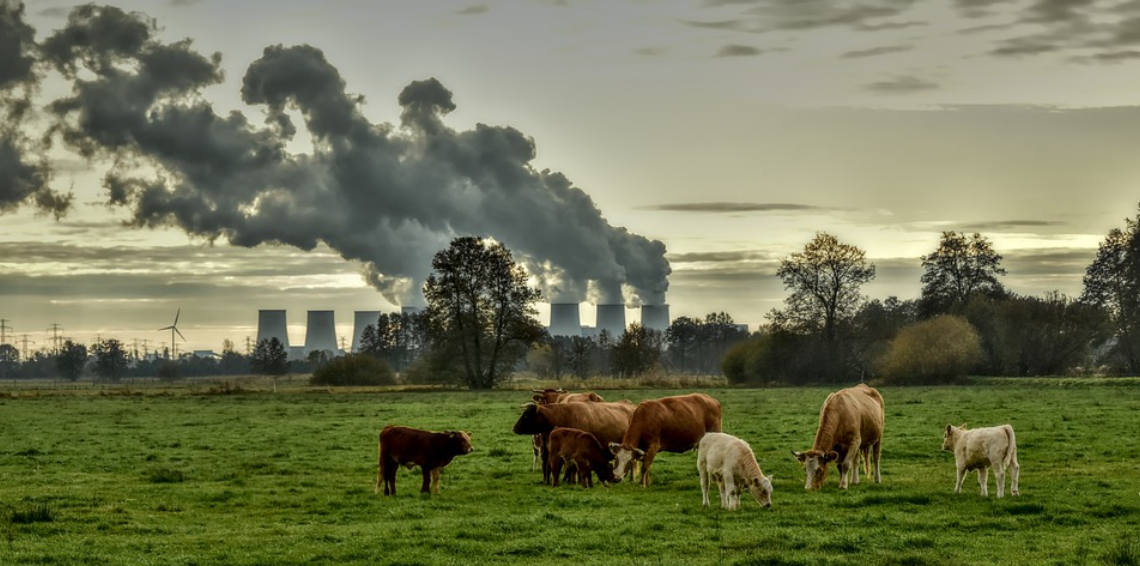 Klimatske promjene uzrokovat će pogoršanje kvalitete zraka