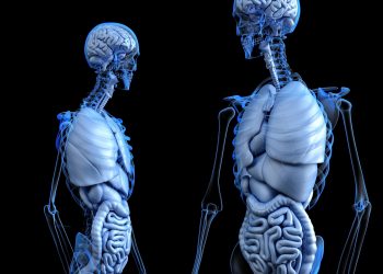 Nova studija povezuje ultraprerađenu hranu i kolorektalni rak kod muškaraca