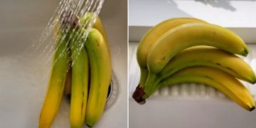 Kako se riješiti dosadnih mušica na voću