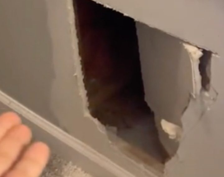 Kao u priči Edgara Allana Poea: nakon povratka na puta pronašla vlastitu mačku zazidanu