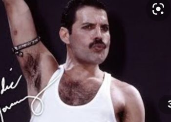 Austrijanka izdvojila 4000 eura da bi slavila svoga idola