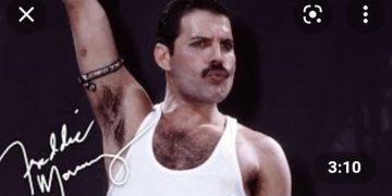 Austrijanka izdvojila 4000 eura da bi slavila svoga idola