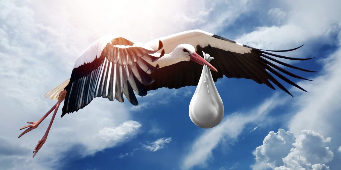 Brzi put do programa plodnosti prepolovljuje vrijeme liječenja