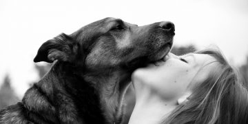 Psi mogu namirisati kada smo pod stresom