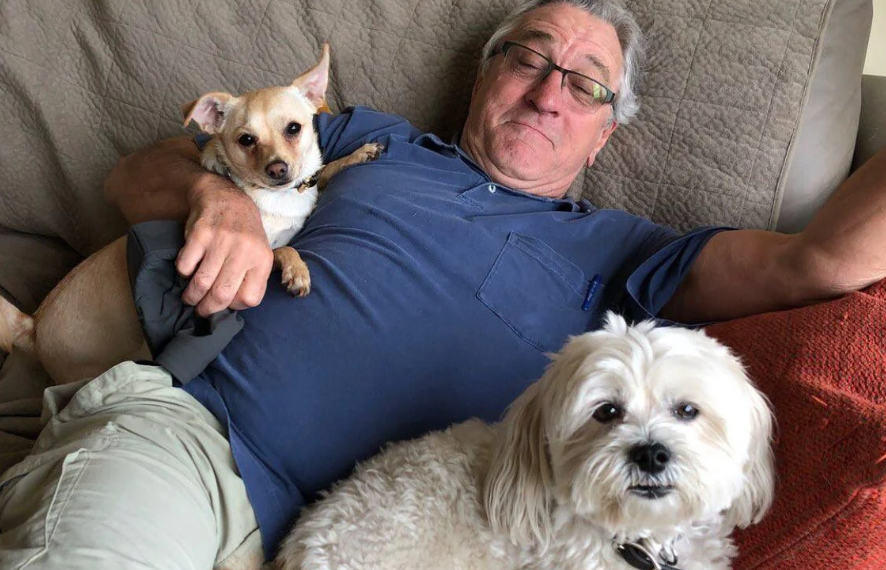 DE NIRO OBOŽAVA SVOJE PSE KOJE JE UDOMIO