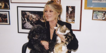 KRALJICA NEZBRINUTIH ŽIVOTINJA SPASILA NA TISUĆE TISUĆA