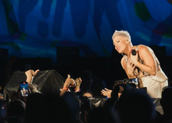 PINK USTRAJNA U ZAŠTITI EKOLOGIJE