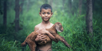 KOZE SVE POPULARNIJI KUĆNI LJUBIMCI