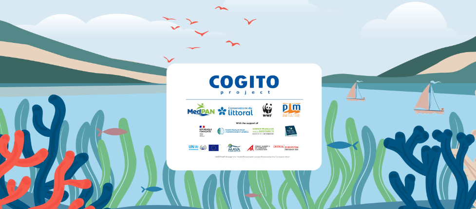 SREDOZEMNO MORE IMA BROJNE EKOLOŠKE ORGANIZACIJE ZA SPAS