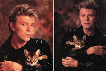 SLAVNI KOJI SU OBOŽAVALI I OBOŽAVAJU MAČKE