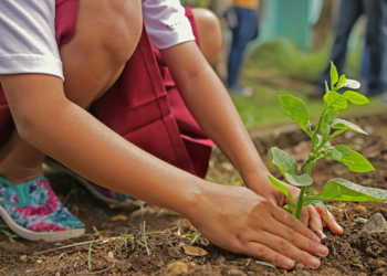 NAJVEĆI EKOLOŠKI PROJEKTI NA BALKANU