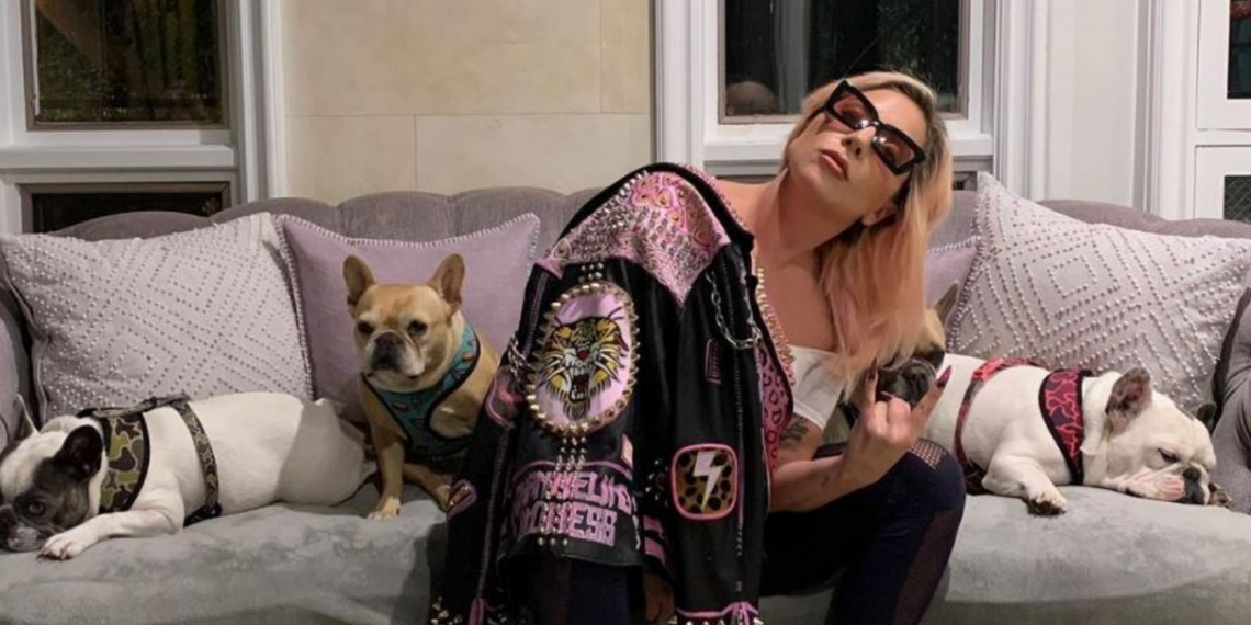 LADY GAGI UKRALI PSE I UPUCALI ČUVARA