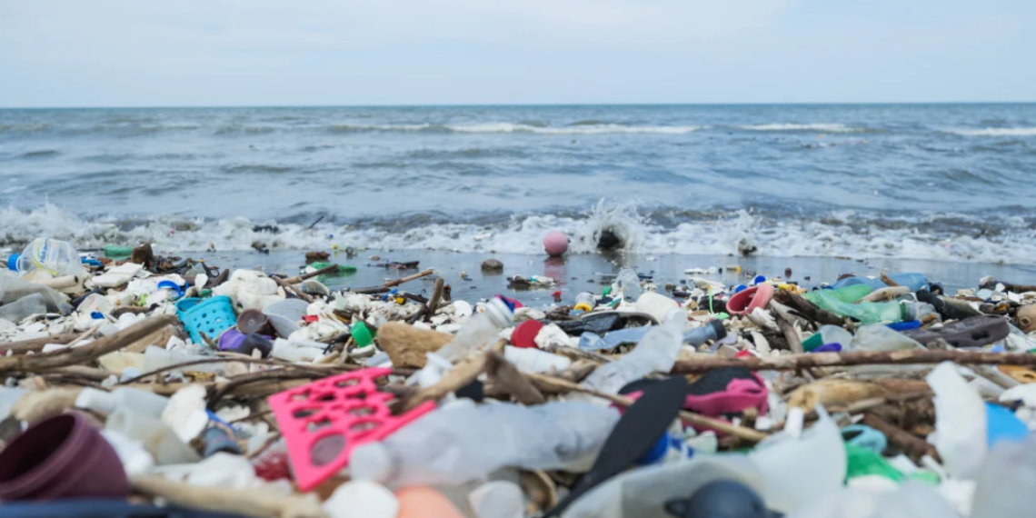 INDIJSKI OCEAN JEDVA DIŠE