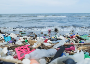 INDIJSKI OCEAN JEDVA DIŠE