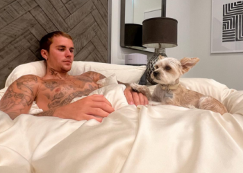 BIEBER VOLI UDOMLJAVATI PSE I MAČKE