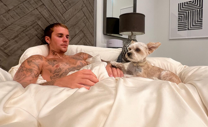 BIEBER VOLI UDOMLJAVATI PSE I MAČKE