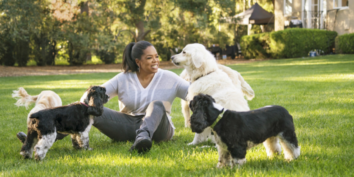 OPRAH POTIČE LJUDE DA USVAJAJU ŽIVOTINJE