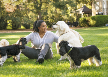 OPRAH POTIČE LJUDE DA USVAJAJU ŽIVOTINJE