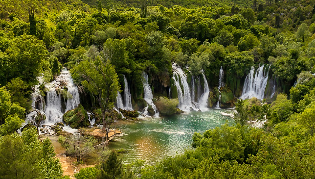 ČIME OČARAVA ČAPLJINA