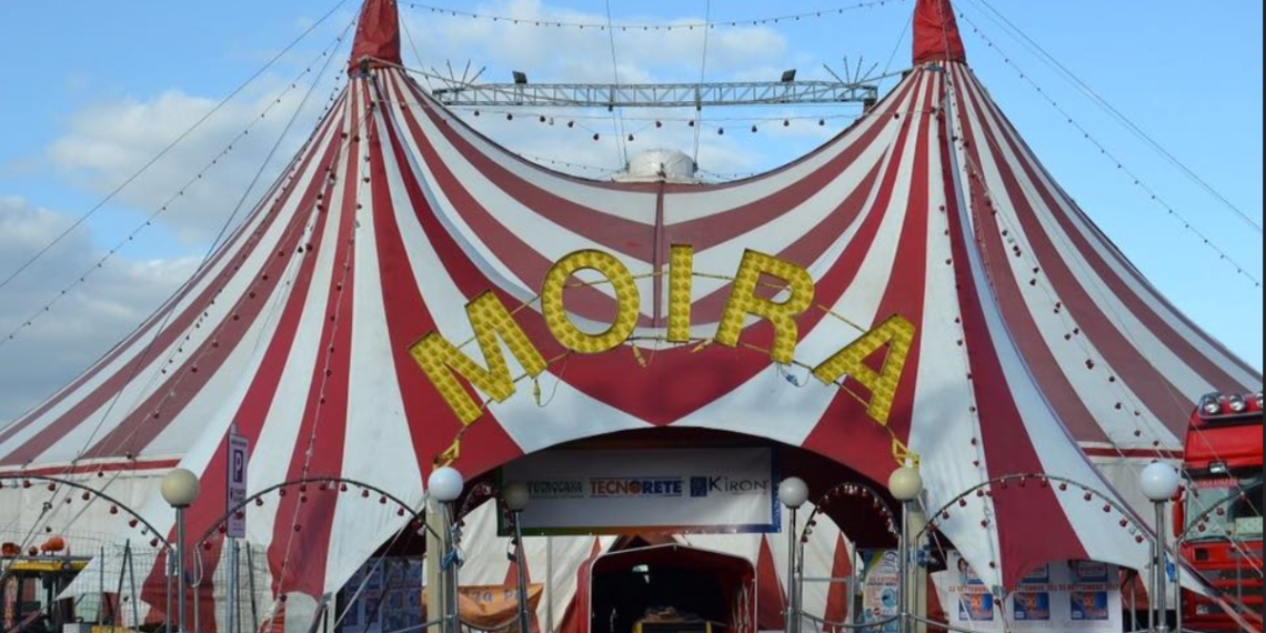 CIRKUS MOIRA ORFEI I SVE O CIGANSKOJ LJEPOTICI I BOGATAŠICI