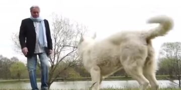 DELON JE TRAŽIO DA PSA USPAVAJU I POKOPAJU SA NJIM.