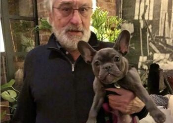 DE NIRO OBOŽAVA SVOJE PSE KOJE JE UDOMIO