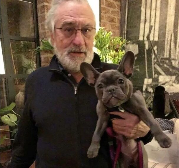 DE NIRO OBOŽAVA SVOJE PSE KOJE JE UDOMIO