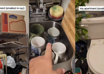 Kako izgleda stan čije iznajmljivanje u New Yorku košta 1.200 dolara: Prostor veličine ormara