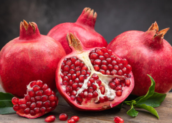 Sezona je nara: Studija potvrdila da tvar iz pitomog šipka može poboljšati pamćenje