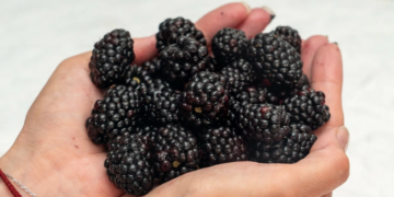 Ove namirnice trebate uvesti u ishranu zbog kontrole težine i ravnoteže hormona