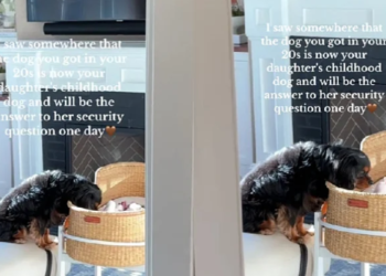 Vlasnica pronašla psa kako posmatra njenu bebu: Prizori će vas razniježiti