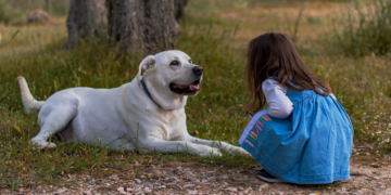 Koliko tjelesne aktivnosti je potrebno vašem psu: Ovisi o više faktora