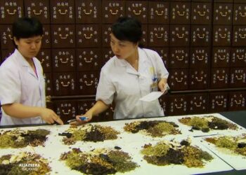 Samo Kina ima 12.000 ljekovitih biljki evo za što ih koriste