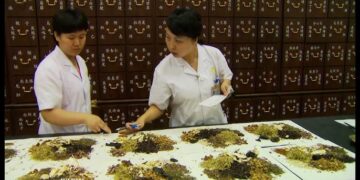 Samo Kina ima 12.000 ljekovitih biljki evo za što ih koriste