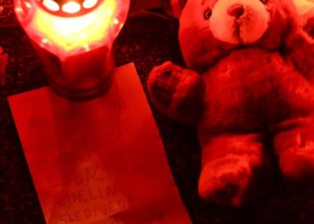 TRAGEDIJA U HRVATSKOJ: TKO JE KRIV?