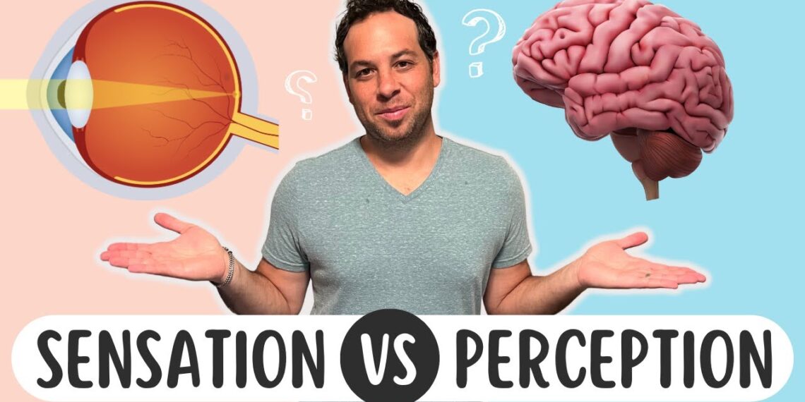 Zašto mediji štite pedofile, a linčuju nekoga sa manjim djelom