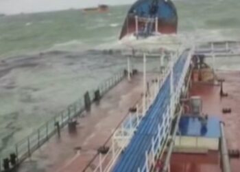 Nakon potonuća tankera u Crnom moru, mrtve ribe, delfini i ptice…