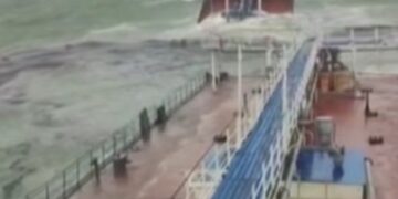 Nakon potonuća tankera u Crnom moru, mrtve ribe, delfini i ptice…