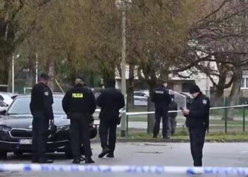 Tragedija se možda mogla spriječiti jer je majka ubojice otkrila propuste sustava