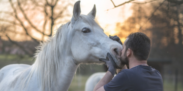 Konji kao terapeuti: Transformativna moć terapijskog jahanja