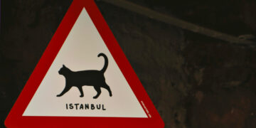 Grad koji ima milion mačaka koje smiju sve – čak i ući u vjerske objekte