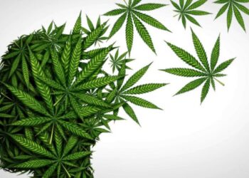 Može li se od kanabisa psihički razboljeti? Da