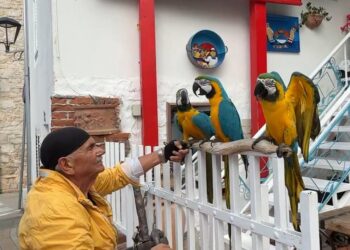 Šampion turizma, svestrani umjetnik i gastronom u Vodicama