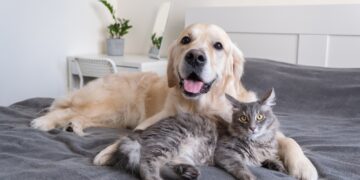 Zašto se ljudi toliko povežu sa psima i mačkama. Otkrivamo