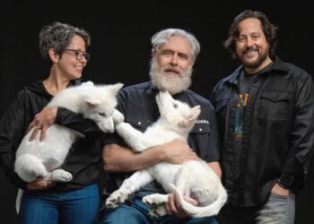 U tajnosti oživjeli mrtve stanice stare 13.000 godina.