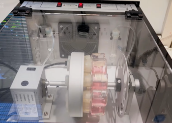 Veliko otkriće za leukemiju