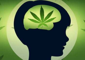 Kanabis se koristi jer pomaže u boljem osjećanju ali….