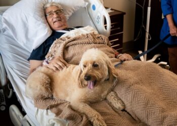 Životinje pozitivno utječu na teške oporavke evo i koje: