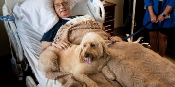 Životinje pozitivno utječu na teške oporavke evo i koje: